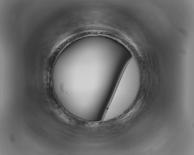 X0000111491352200907141055