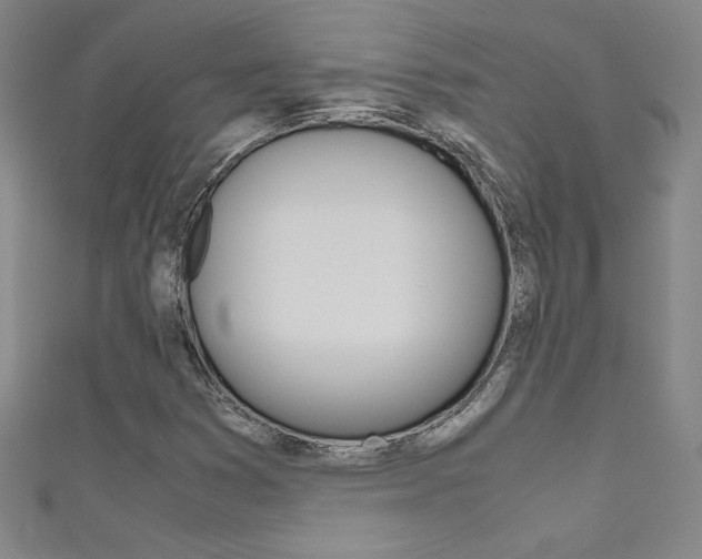 X0000111491353200907141055