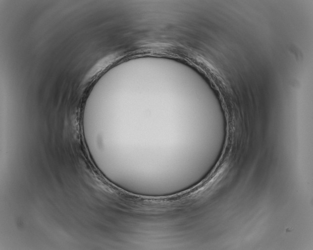X0000111491354200907141055