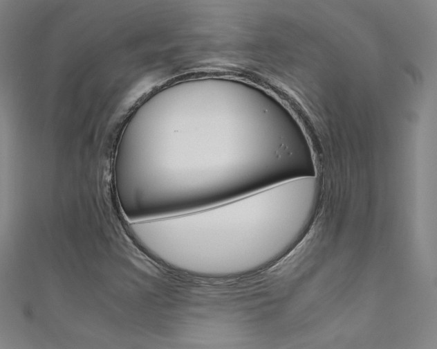 X0000111491355200907141055