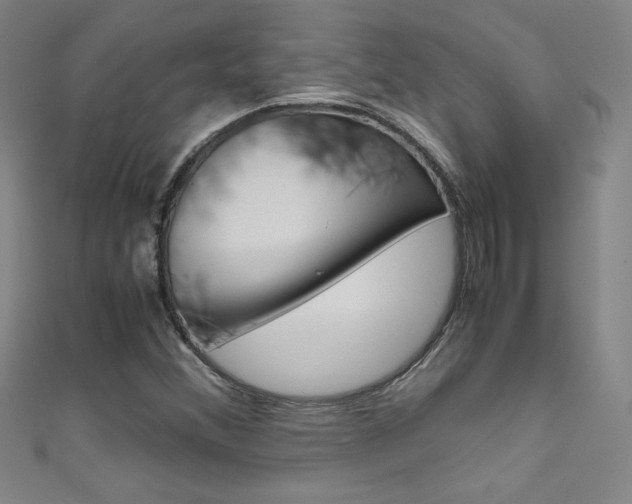 X0000111491356200907141055