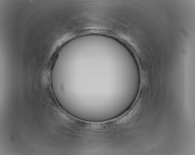 X0000111491357200907141055