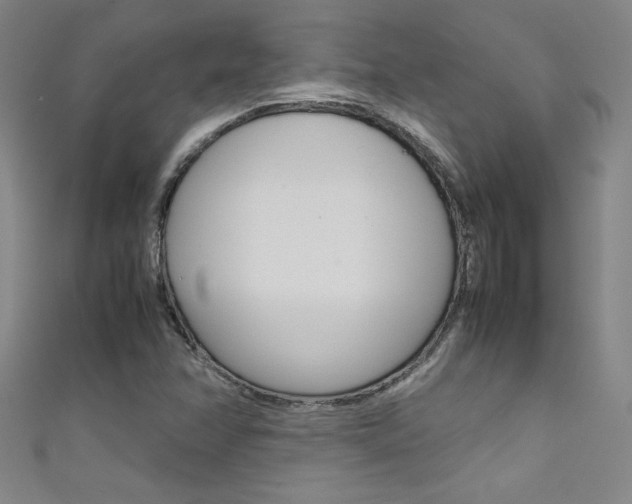 X0000111491358200907141055