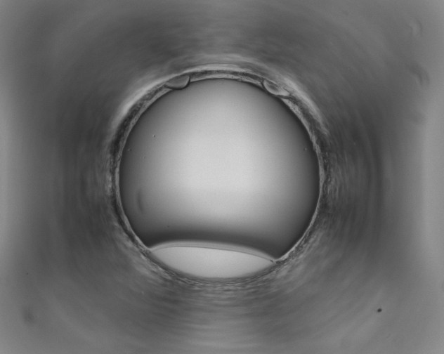 X0000111491360200907141055