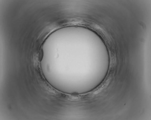 X0000111491361200907141055