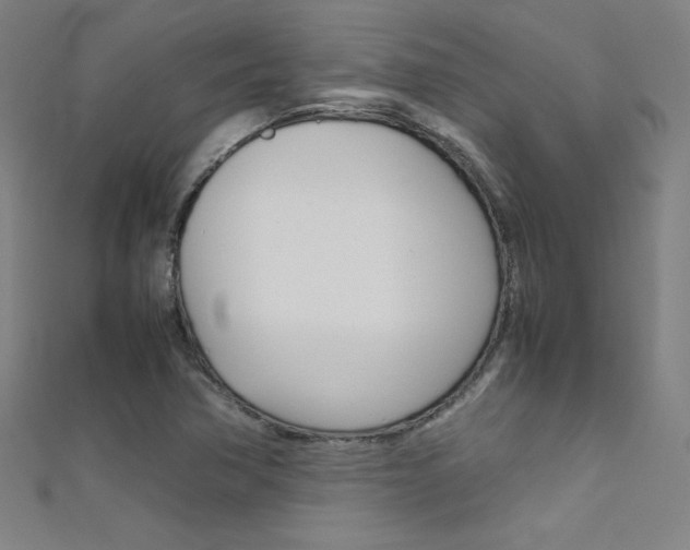X0000111491362200907141055
