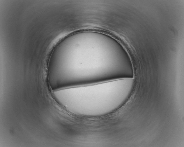 X0000111491363200907141055