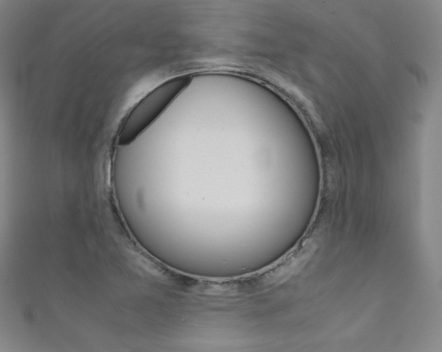 X0000111491365200907141055