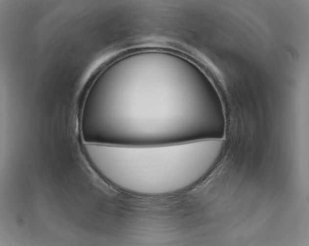 X0000111491368200907141055