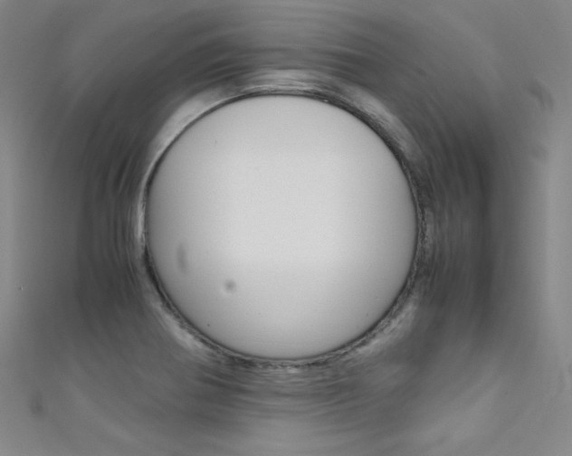 X0000111491370200907141055