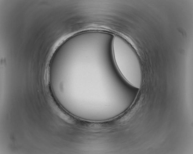 X0000111491371200907141055