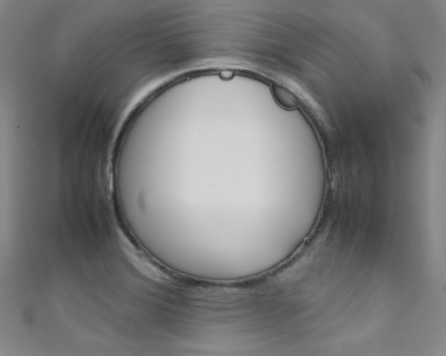 X0000111491372200907141054