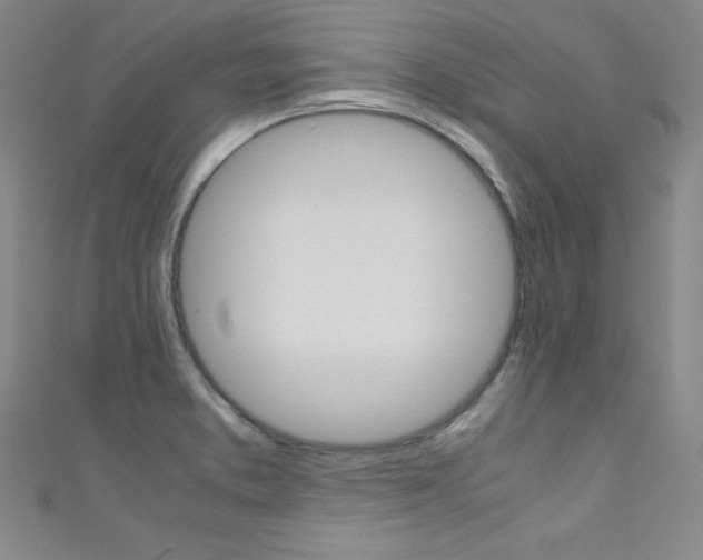 X0000111491373200907141054