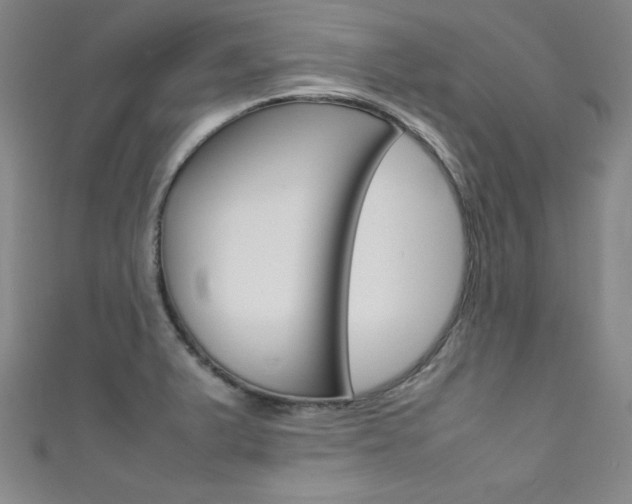 X0000111491375200907141054