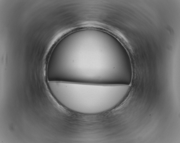 X0000111491376200907141054