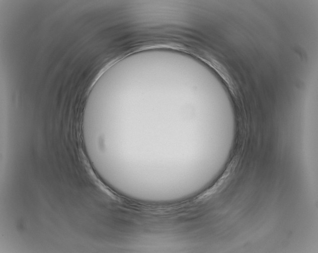 X0000111491377200907141054