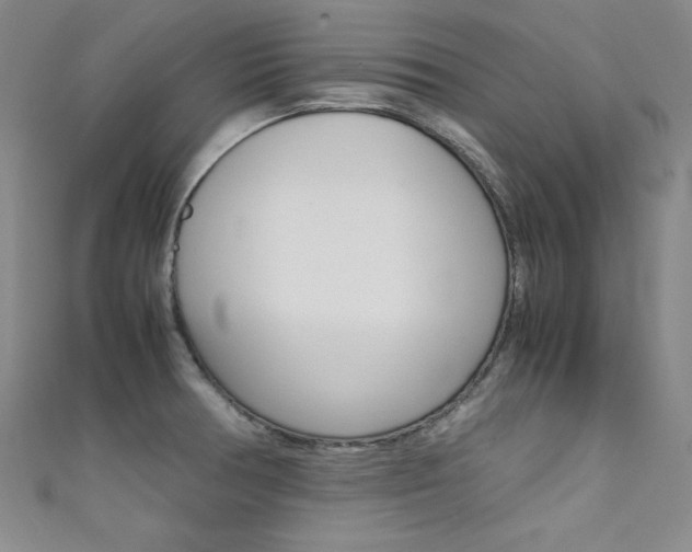 X0000111491378200907141054