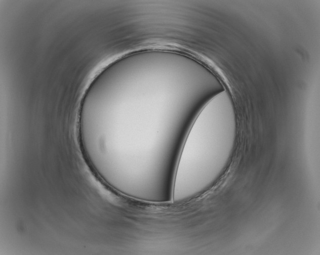X0000111491379200907141054