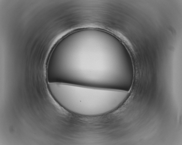 X0000111491380200907141054