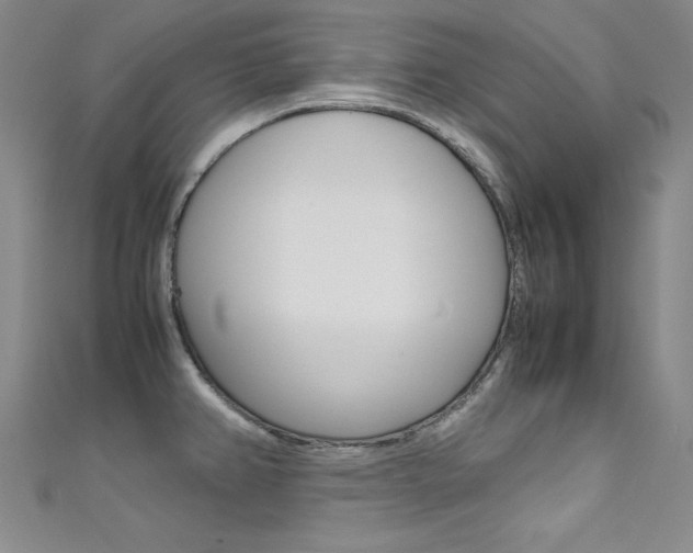 X0000111491382200907141054