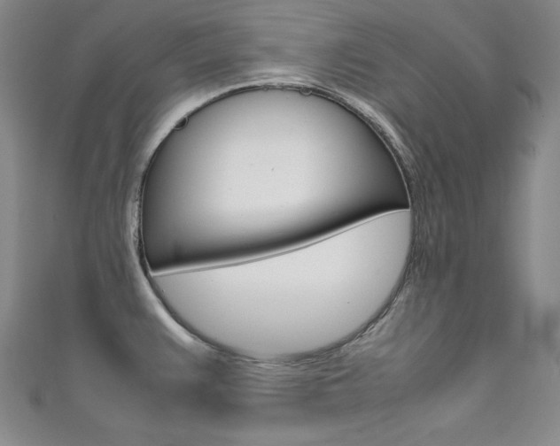 X0000111491383200907141054