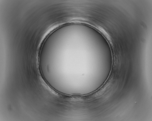 X0000111491384200907141054