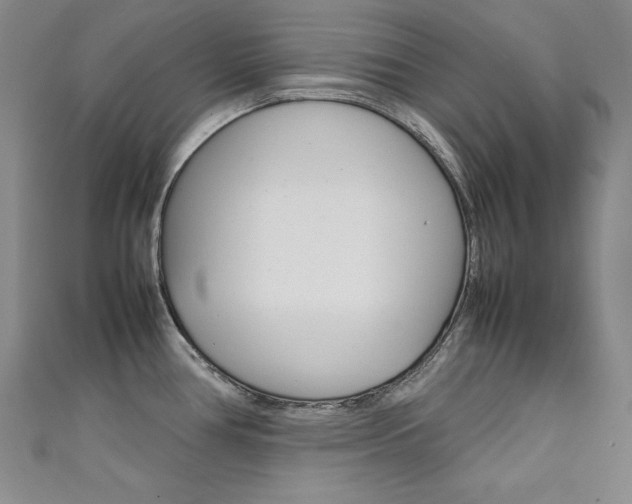 X0000111491386200907141054