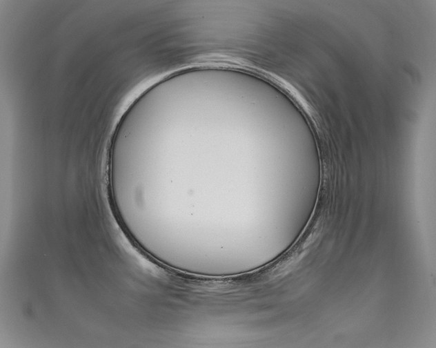 X0000111491387200907141054