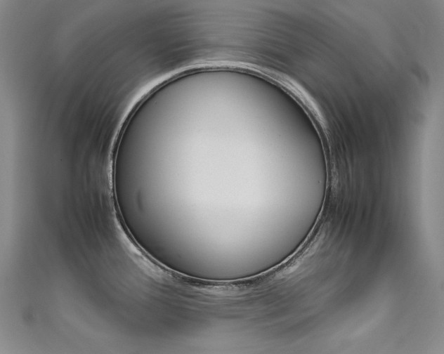 X0000111491388200907141054