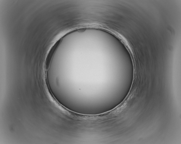 X0000111491389200907141054