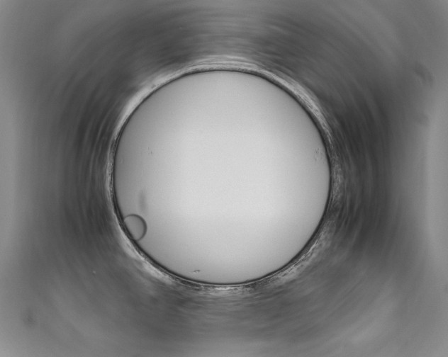 X0000111491390200907141054
