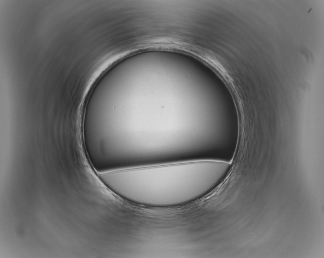 X0000111491392200907141054