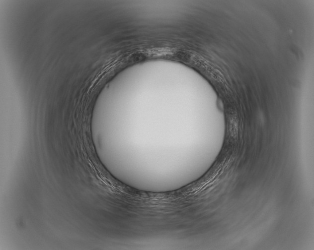 X0000111491393200907141054