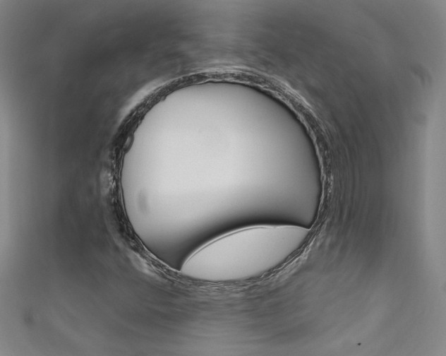 X0000111491400200907141054