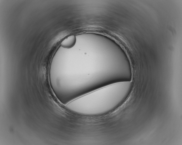 X0000111491402200907141054