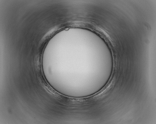 X0000111491403200907141054