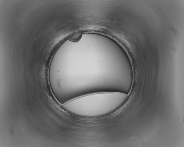 X0000111491404200907141054