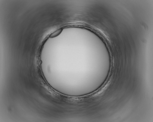 X0000111491405200907141054