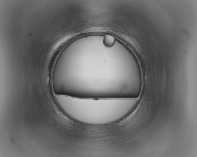 X0000111491406200907141054