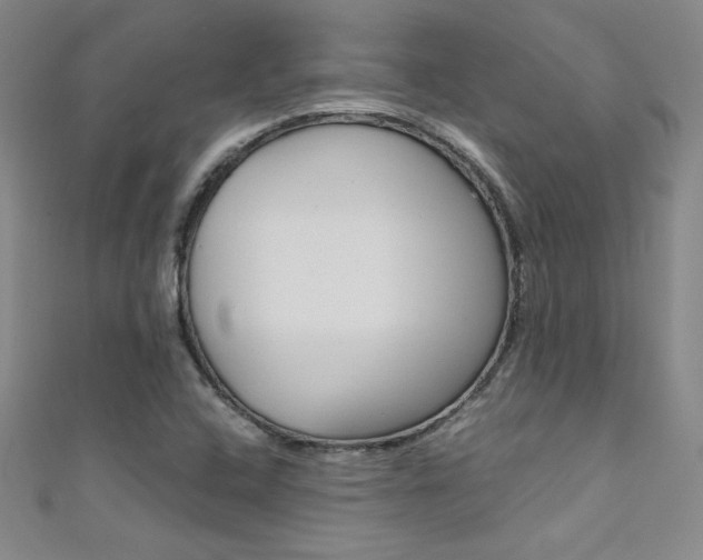 X0000111491408200907141054