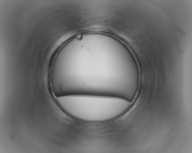 X0000111491410200907141054