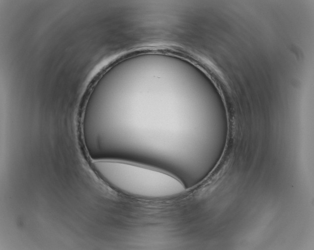 X0000111491412200907141054