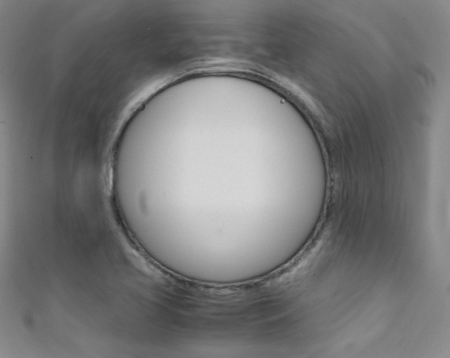 X0000111491413200907141054