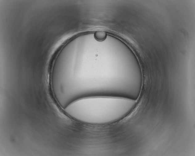 X0000111491414200907141054