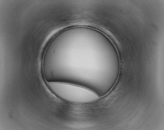 X0000111491416200907141054
