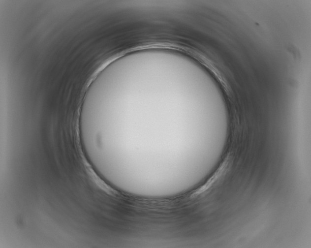 X0000111491417200907141054