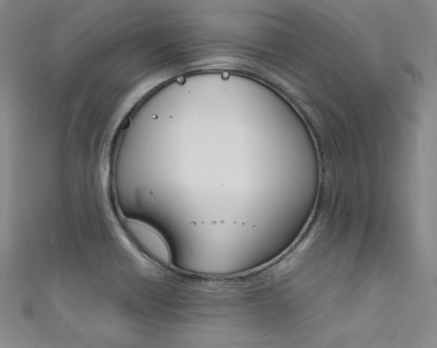 X0000111491418200907141054