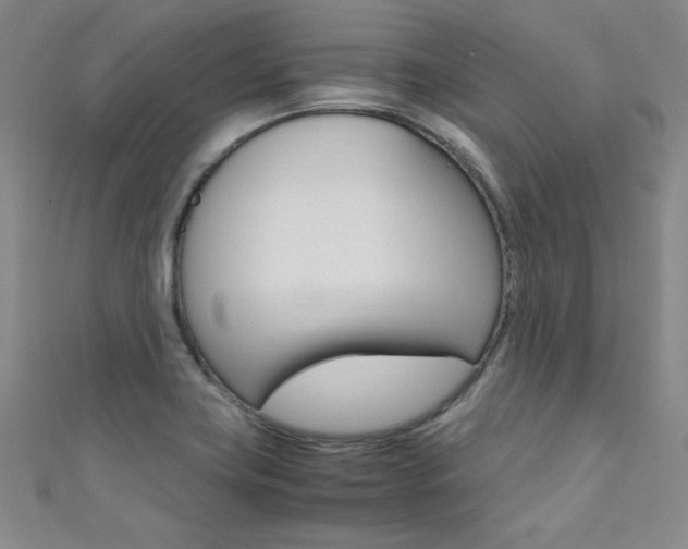 X0000111491419200907141054