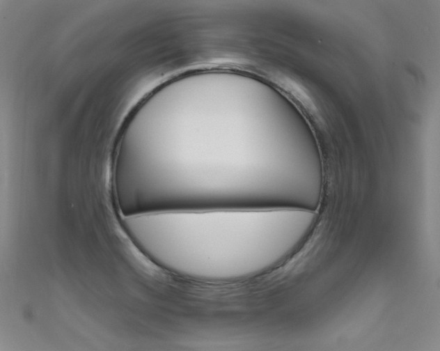 X0000111491420200907141054