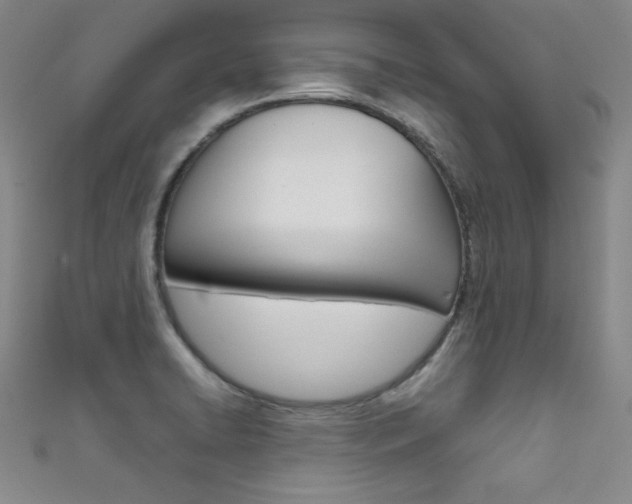 X0000111491422200907141054